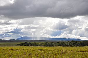 Lluvia Acopan