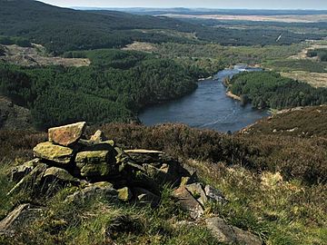 Loch Trool from Buchan Hill