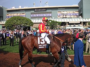 Lookin At Lucky at 2009 Breeder's Cup Juvenile