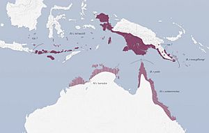 Megapodius reinwardt distribution.jpg