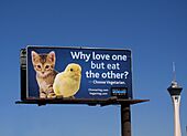 Mercy for Animals billboard, Las Vegas, NV, 2010.jpg