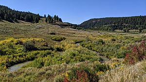 Mill Creek Archuleta County CO