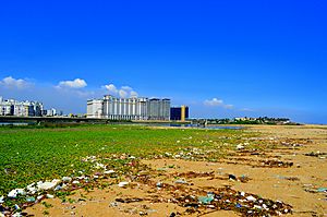 Mouth of Adyar river