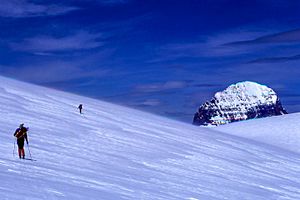 Mt. Alberta from the Columbia Icefield