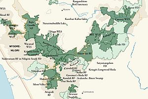 Nilgiris Biosphere Reserve