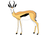 Normal Springbok