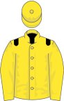 Yellow, black epaulets