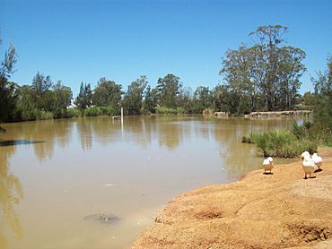 Plumpton lake.jpg