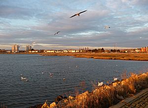 Poole , Holes Bay - geograph.org.uk - 1771000