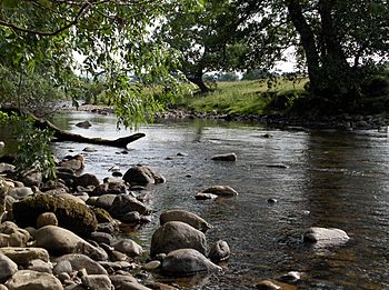 River Caldew - geograph.org.uk - 212922.jpg