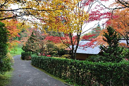 Seattle Japanese garden 2011 09