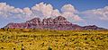 Smithsonian Butte, south aspect