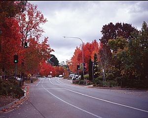 Stirling-Main-Street-2012