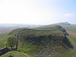 Sycamore Gap 2007