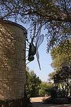 WildflowerCtr dragonfly onTower