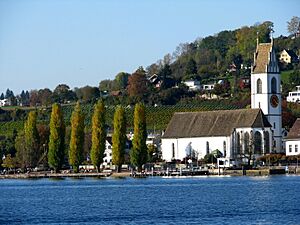 Zürichsee - Meilen IMG 1152