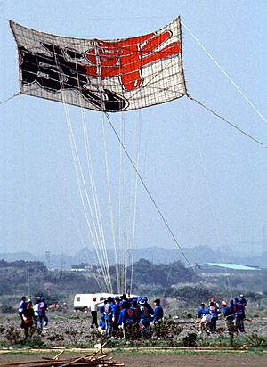 Zama kite festival