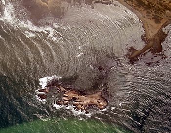 Año Nuevo Island off Año Nuevo South Point.jpg