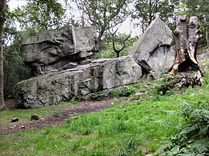 AdelCrag2269a