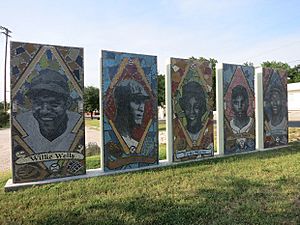 Austin TX Mosaics Downs Field