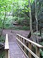 Badger Dingle - upper bridge