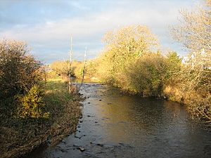 Ballynahinch River - geograph.org.uk - 95946