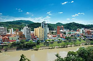 Blumenau vista