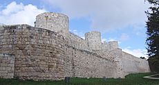 Castillo de burgos exteriores