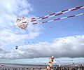 Châtelaillon-Plage Cerf-Volants 2001