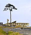 Collapsed Rikuzentakata Youth Hostel and a Pine Tree of Hope