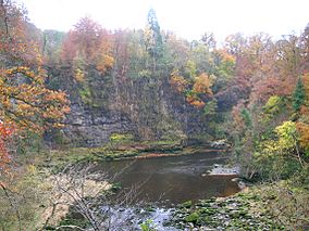 Corra Linn clyde.JPG