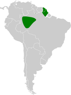 Crypturellus brevirostris map.svg