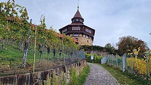 DerDickeTurm Esslingen a.N. Fall2023