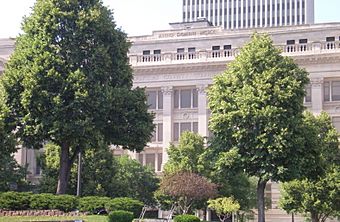 Douglas County, Nebraska courthouse 2009.jpg