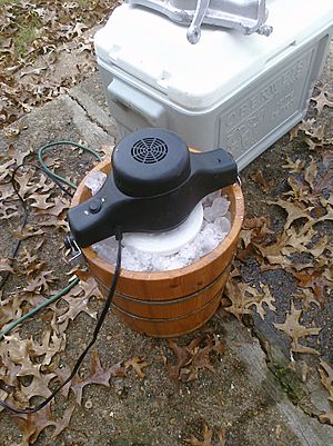 Electric ice cream maker