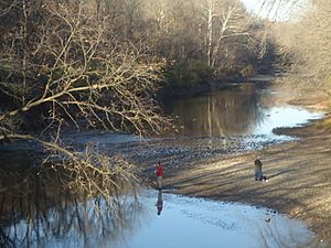 Fishing in Kickapoo