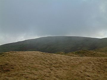 Grayrigg Forest.jpg