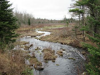 JohnsRiverCherryPondNH.jpg