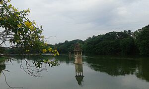 Kumbakonam Cauvery