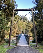 Lake Matheson Walk MRD 02