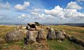 Megalithic grave Harhoog in Keitum, Sylt, Germany