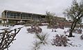 Monahans sandhills visitor center