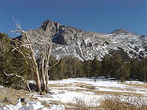 Mount-Dana-from-Tioga-Pass