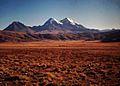 Mountains yaks Manasarovar pilgrimage trail