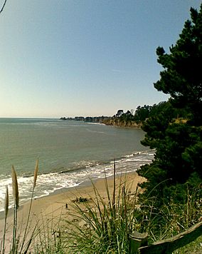 New Brighton State Beach2.jpg