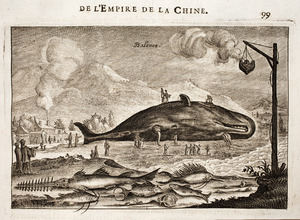 Nieuhof-Description-générale-de-la-Chine-1665 0874