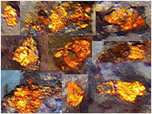 PERALTA GOLD ORE