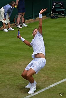 Pospisil serve (24366428341)