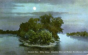 PostcardWillowIslandPortlandCt1910