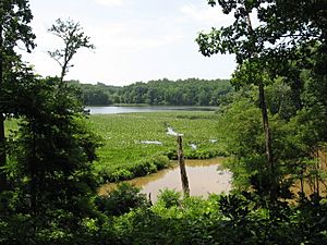 Powell's Creek - panoramio